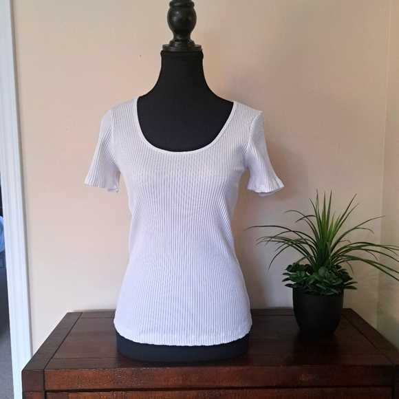 Wilfred White Ribbed Top Scoop Neck Short Sleeved Tee Fitted - Picture 1 of 11